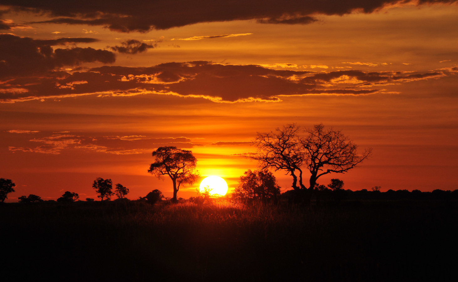 Okavango Delta [250 mm, 1/250 sec at f / 32, ISO 800]